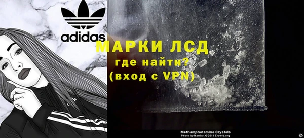 ПСИЛОЦИБИНОВЫЕ ГРИБЫ Алексеевка
